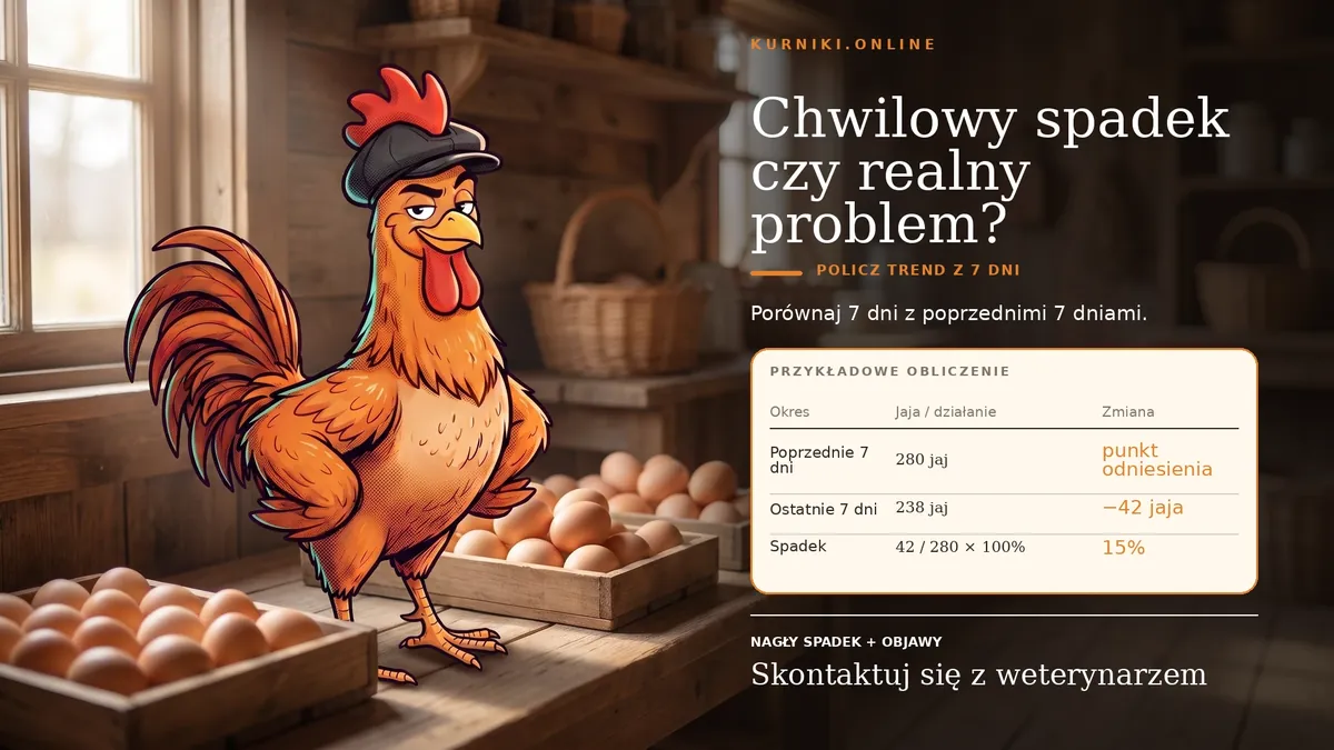 Chwilowy spadek czy realny problem — 280 jaj w poprzednich siedmiu dniach wobec 238 w ostatnich to spadek o 15%