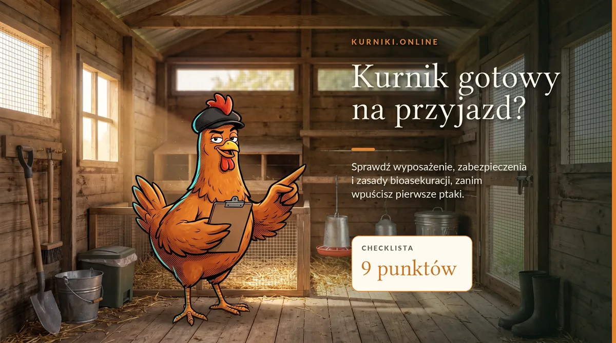 Kurnik gotowy na przyjazd kur — wnętrze z gniazdami, karmidłem, poidłem, ściółką i sprzętem do sprzątania